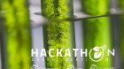 Hackathon - Green ideation